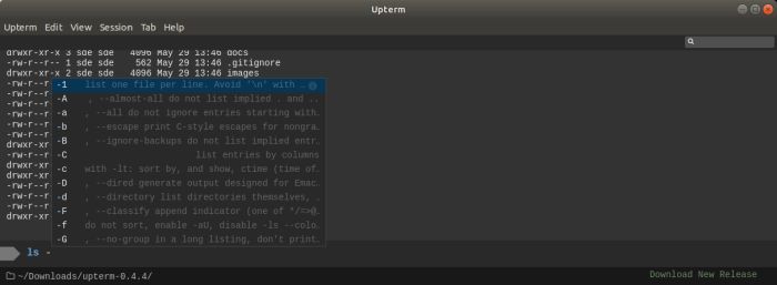 macwise terminal emulator