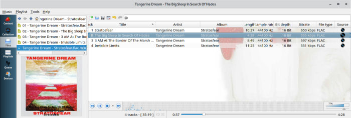 Strawberry Music Player instal the new for apple